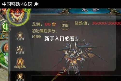 新手入門必看！